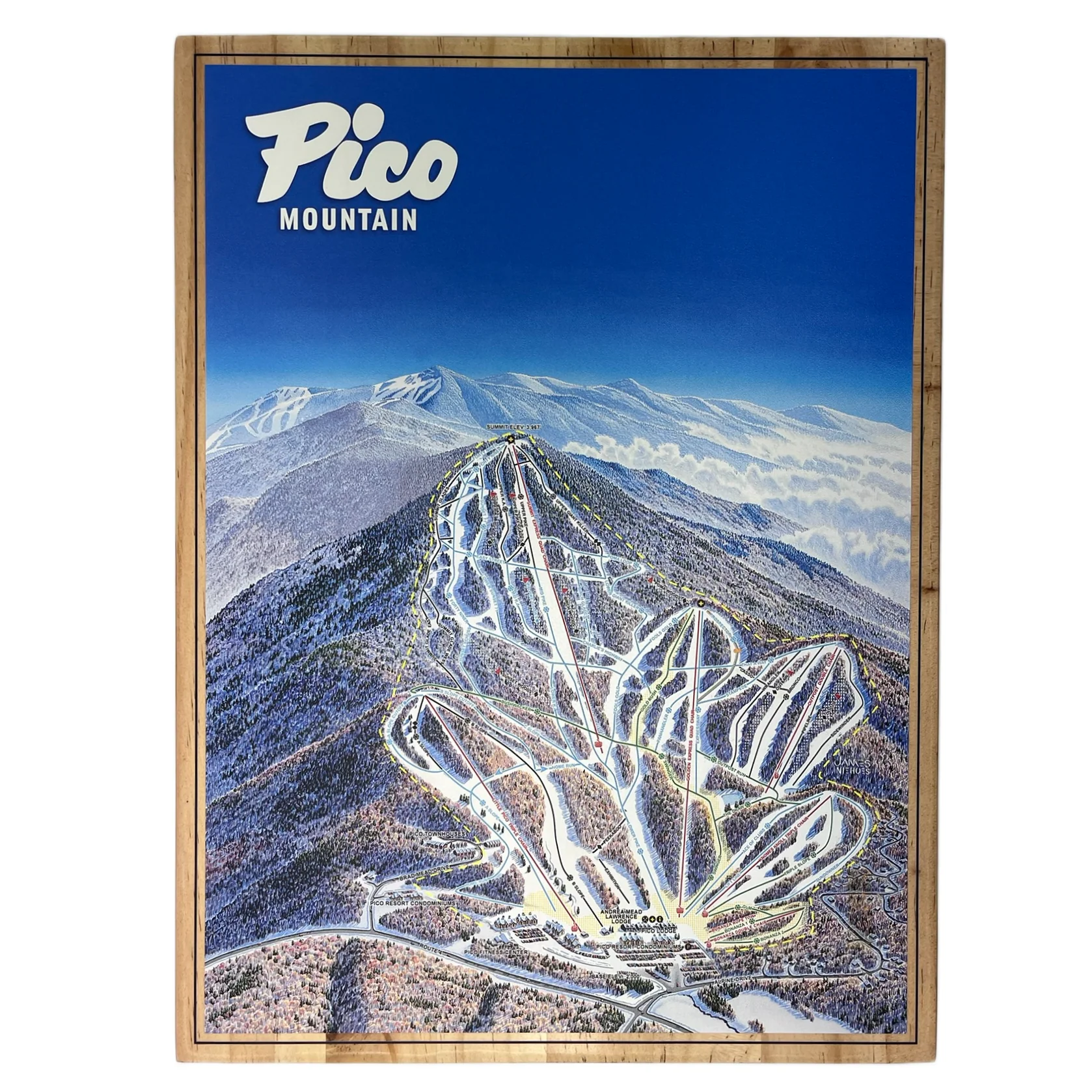 Pico Elevated Trail Map Wooden Wall Art - Small